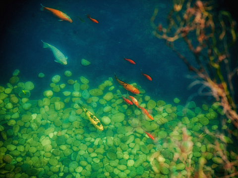 Санаторий «Заря», Кисловодск. Территория